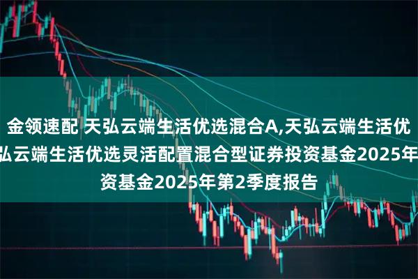 金领速配 天弘云端生活优选混合A,天弘云端生活优选混合C: 天弘云端生活优选灵活配置混合型证券投资基金2025年第2季度报告
