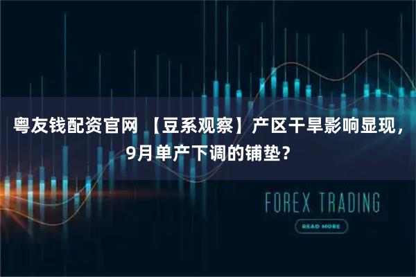 粤友钱配资官网 【豆系观察】产区干旱影响显现,9月单产下调的铺垫?