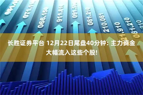 长胜证券平台 12月22日尾盘40分钟: 主力资金大幅流入这些个股!