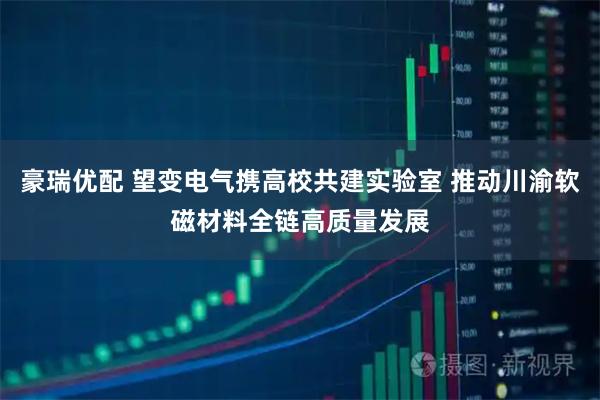 豪瑞优配 望变电气携高校共建实验室 推动川渝软磁材料全链高质量发展